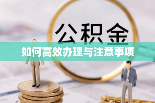 揭西如何高效办理与注意事项