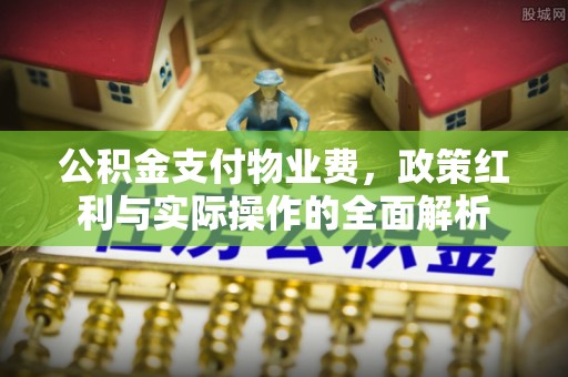 揭西公积金支付物业费，政策红利与实际操作的全面解析