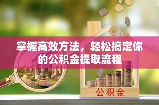 揭西掌握高效方法，轻松搞定你的公积金提取流程