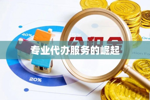 揭西专业代办服务的崛起