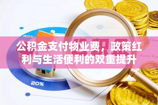 揭西公积金支付物业费，政策红利与生活便利的双重提升