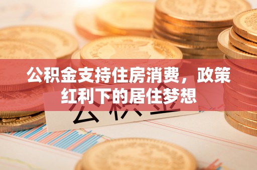 揭西公积金支持住房消费，政策红利下的居住梦想
