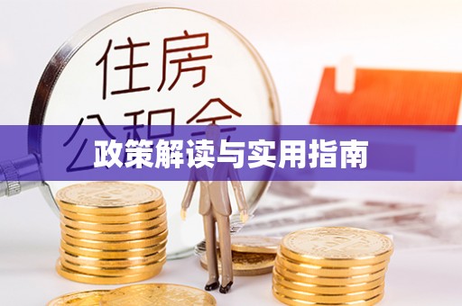 揭西政策解读与实用指南
