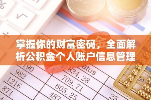 揭西掌握你的财富密码，全面解析公积金个人账户信息管理