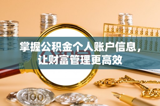 揭西掌握公积金个人账户信息，让财富管理更高效