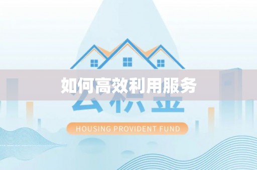 揭西如何高效利用服务
