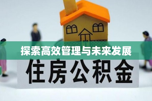 揭西探索高效管理与未来发展