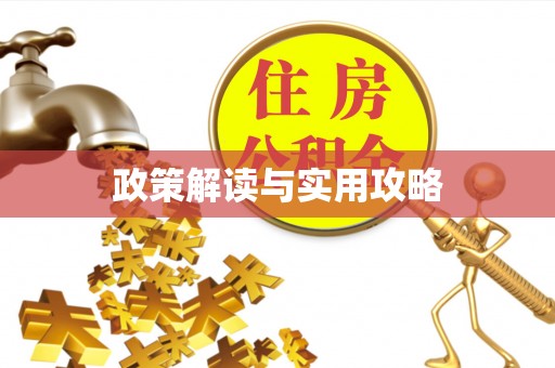 揭西政策解读与实用攻略