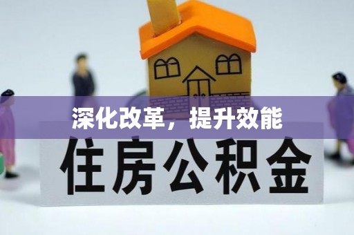 揭西深化改革，提升效能