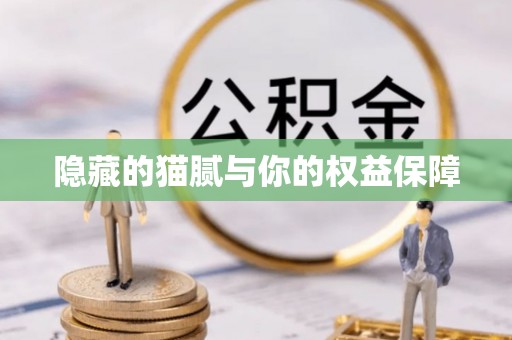 揭西隐藏的猫腻与你的权益保障