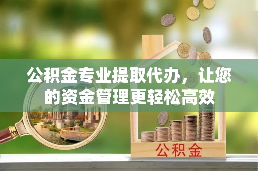 揭西公积金专业提取代办，让您的资金管理更轻松高效