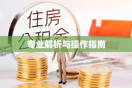 揭西专业解析与操作指南