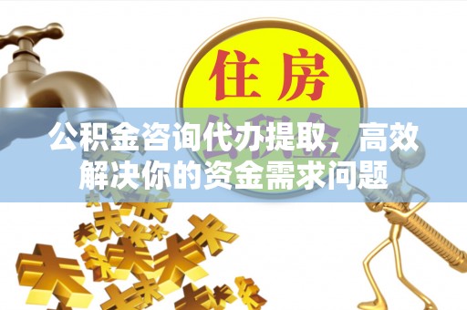 揭西公积金咨询代办提取，高效解决你的资金需求问题