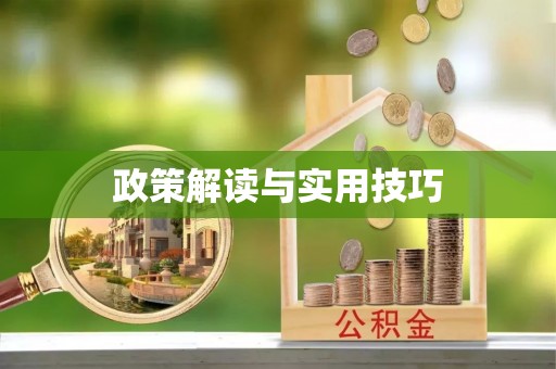 揭西政策解读与实用技巧