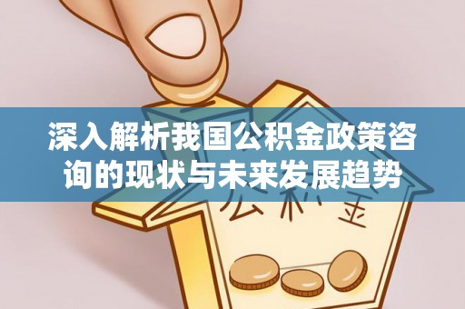 揭西深入解析我国公积金政策咨询的现状与未来发展趋势
