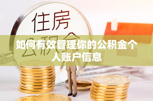揭西如何有效管理你的公积金个人账户信息