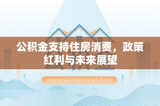 揭西公积金支持住房消费，政策红利与未来展望