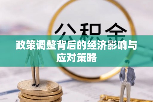 揭西政策调整背后的经济影响与应对策略