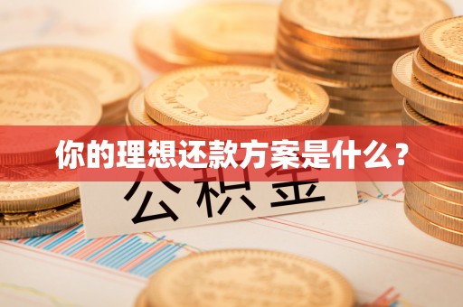 揭西你的理想还款方案是什么？