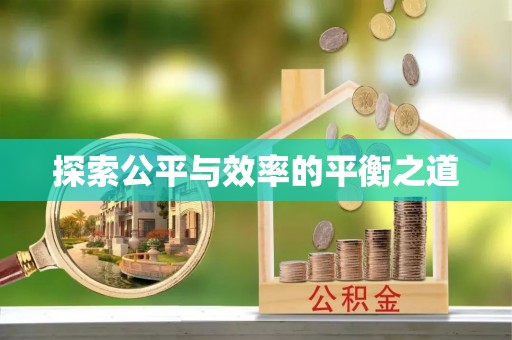 揭西探索公平与效率的平衡之道