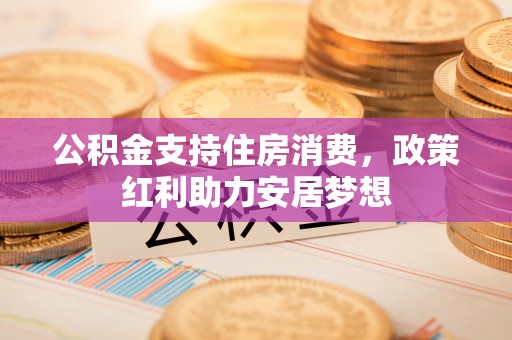 揭西公积金支持住房消费，政策红利助力安居梦想