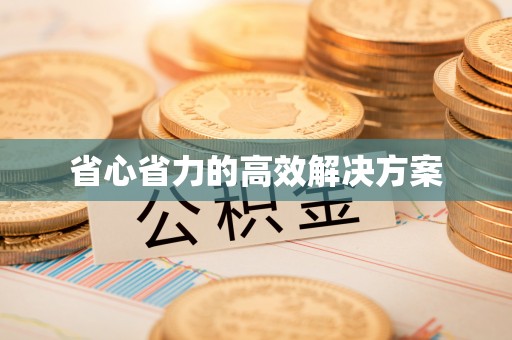 揭西省心省力的高效解决方案