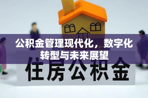 揭西公积金管理现代化，数字化转型与未来展望