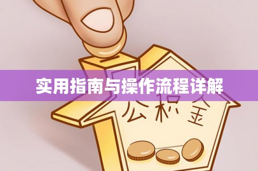 揭西实用指南与操作流程详解