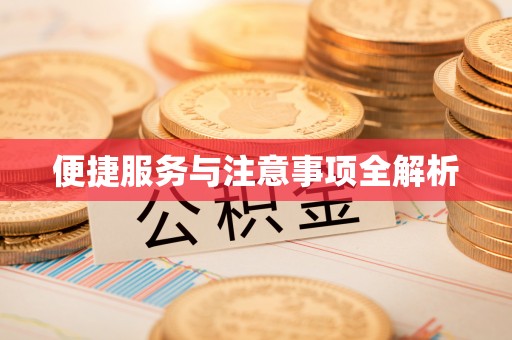 揭西便捷服务与注意事项全解析