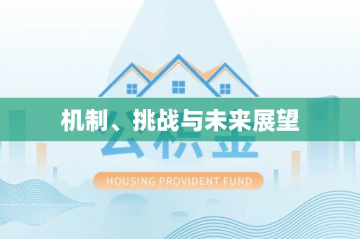 揭西机制、挑战与未来展望