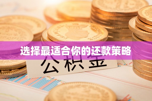 揭西选择最适合你的还款策略
