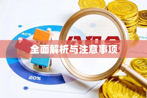揭西全面解析与注意事项