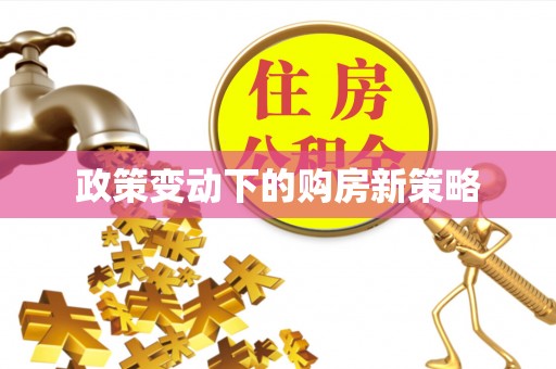 揭西政策变动下的购房新策略